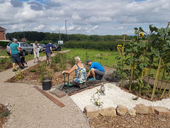 August 2020 at the Community Garden - SEAG - Shipley Eco-Action Group