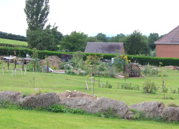 August 2020 at the Community Garden - SEAG - Shipley Eco-Action Group