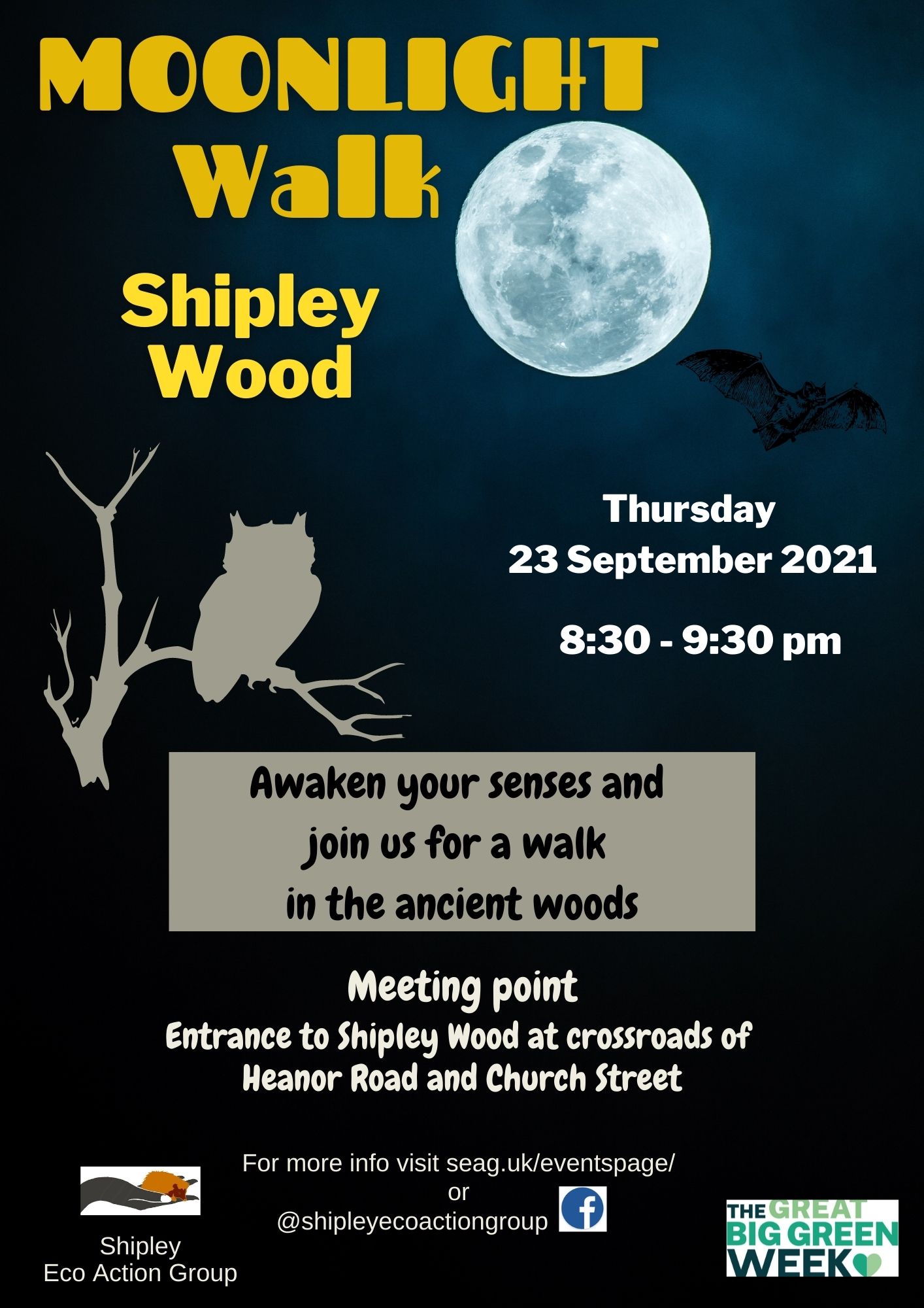 Moonlight Walk Shipley Woods