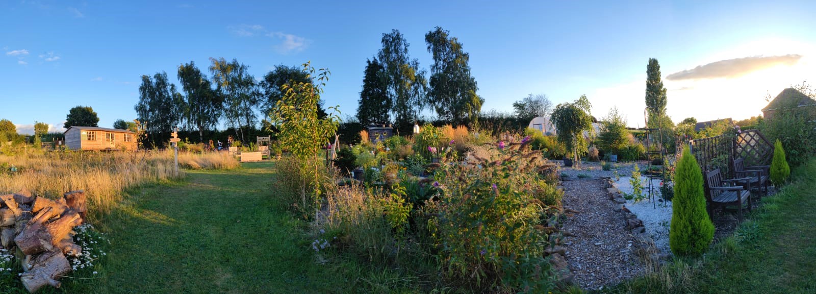 Shipley Woodside Community Garden - 2022