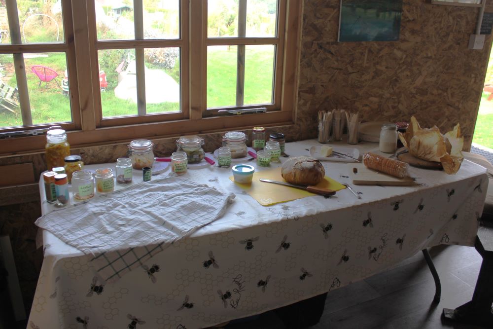 Fermentation Talk and Demo - SEAG - Shipley Eco-Action Group